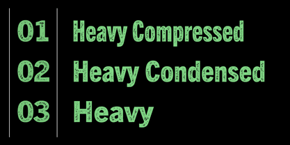 Trade Gothic Next Rust Font Poster 5